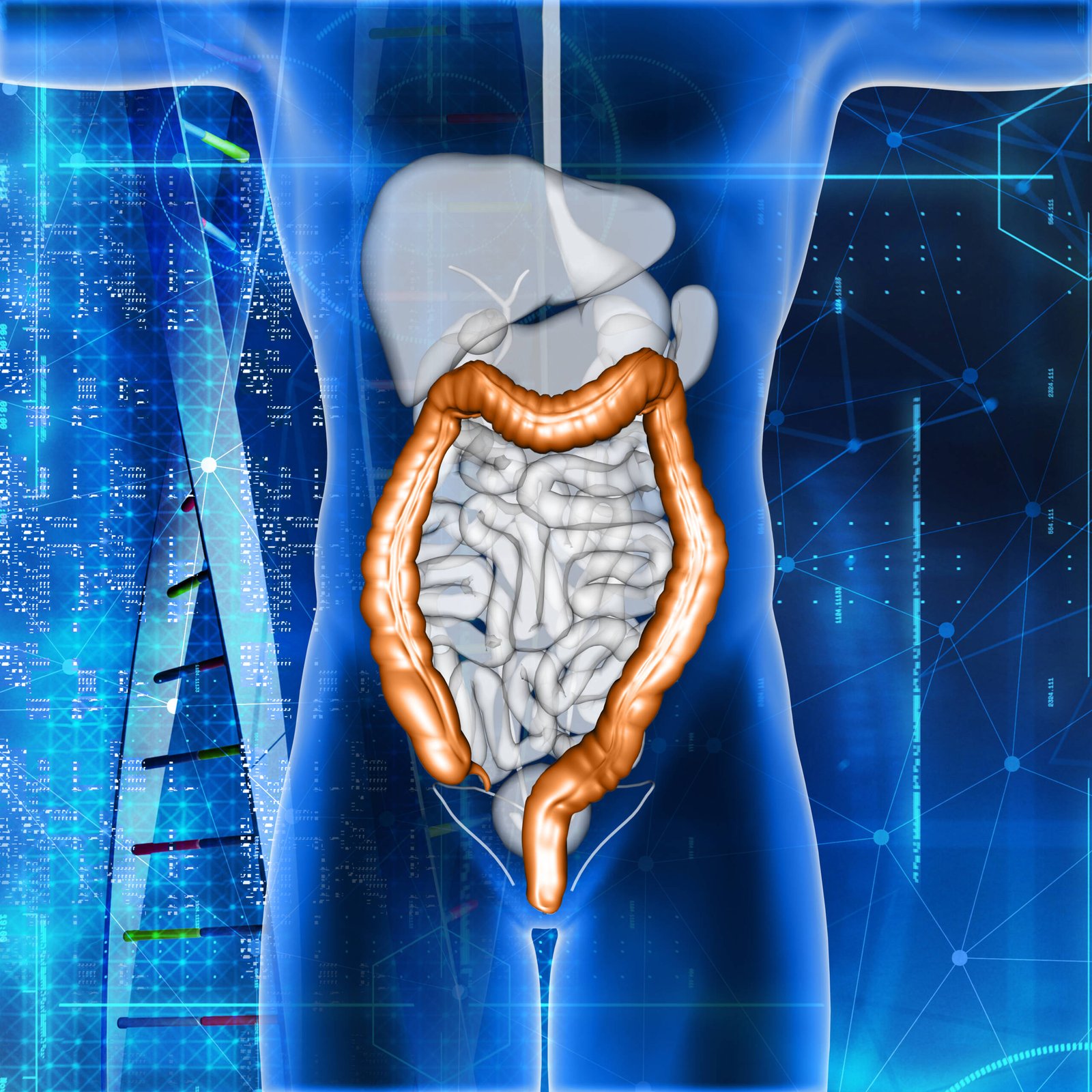 Abdomen (Batın) Radyolojisi